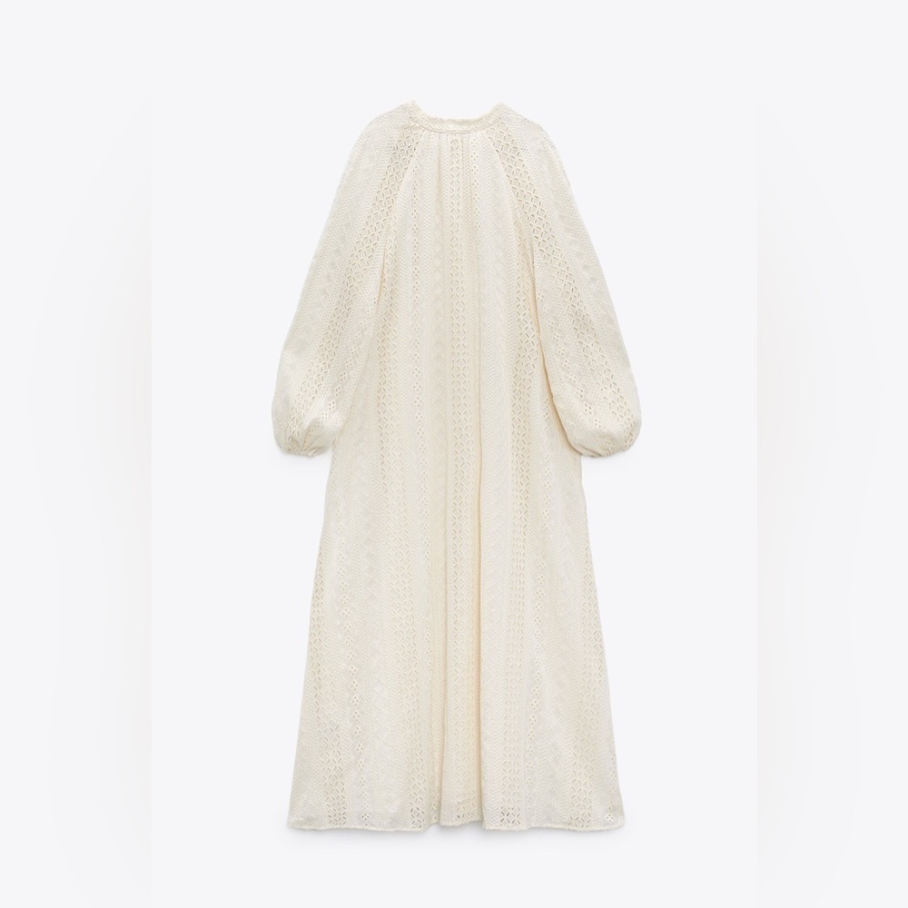 Zara Openwork Embroidery Dress - Picture 7 of 11